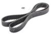 ASHIKA 40-04-498 Timing Belt